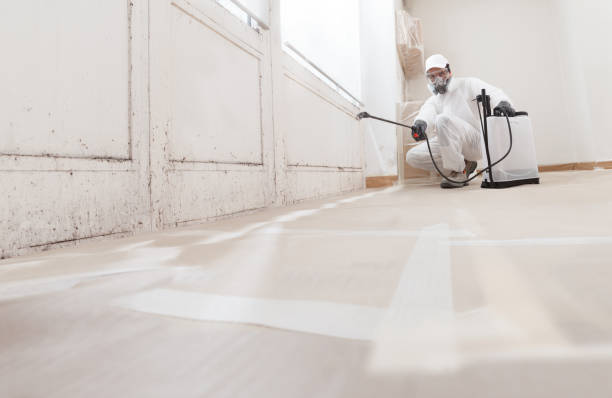 24/7 Emergency Crawl Space Mold Remediation experts in Chatham, VA