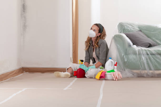 Reliable Crawl Space Mold Remediation contractor in Chatham, VA by 24 Hour Mold Removal