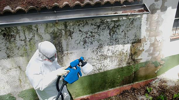 Top rated local Crawl Space Mold Remediation specialists in Chatham, VA